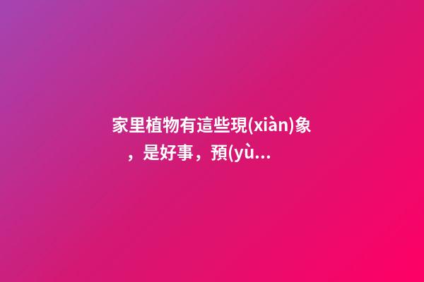 家里植物有這些現(xiàn)象，是好事，預(yù)示你家要發(fā)大財(cái)了！